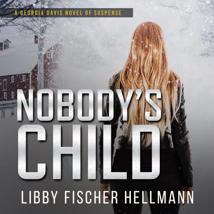 Nobody's Child (The Georgia Davis PI Series, Book 4)