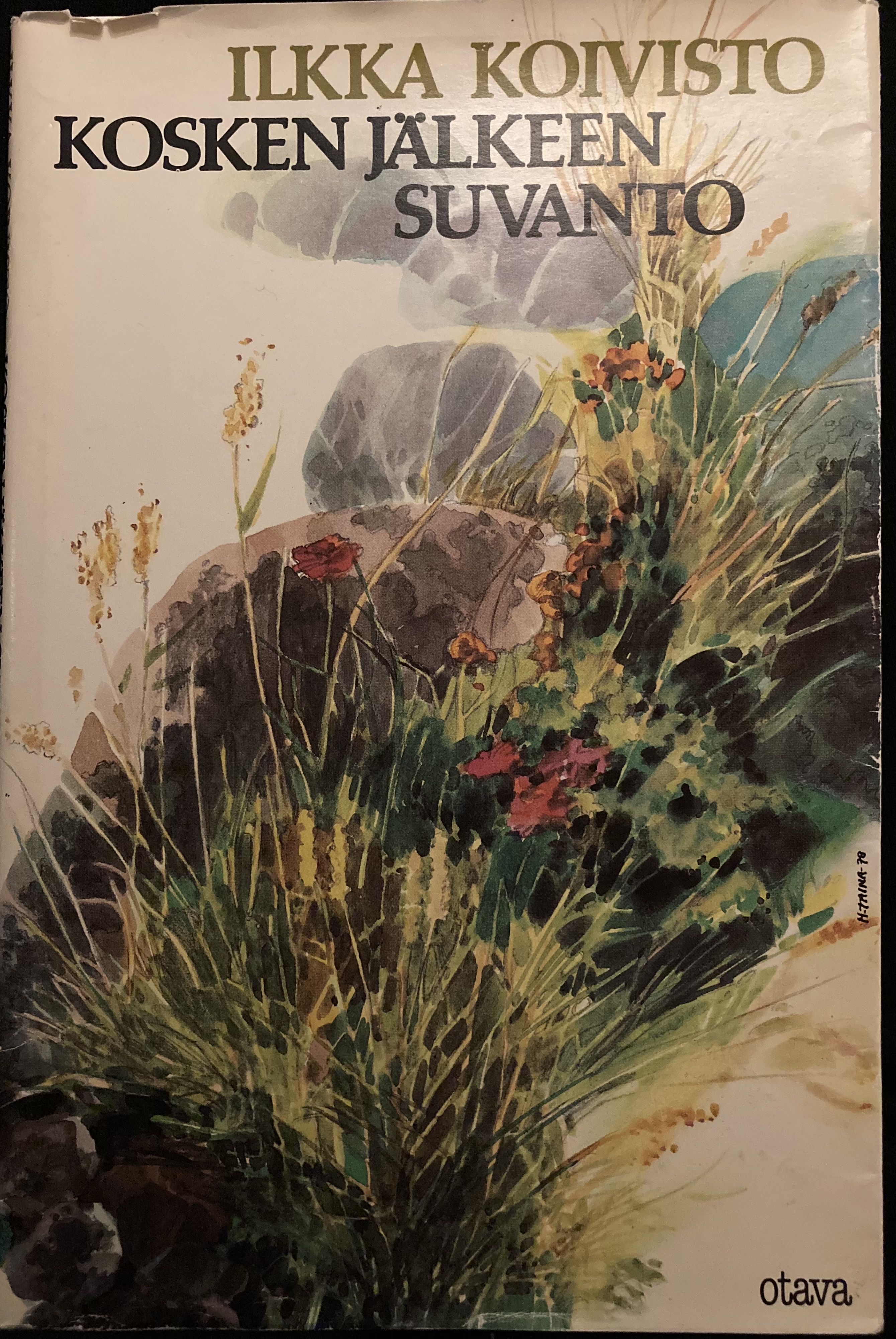 Kosken jälkeen suvanto