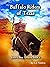 Buffalo Riders of Texas