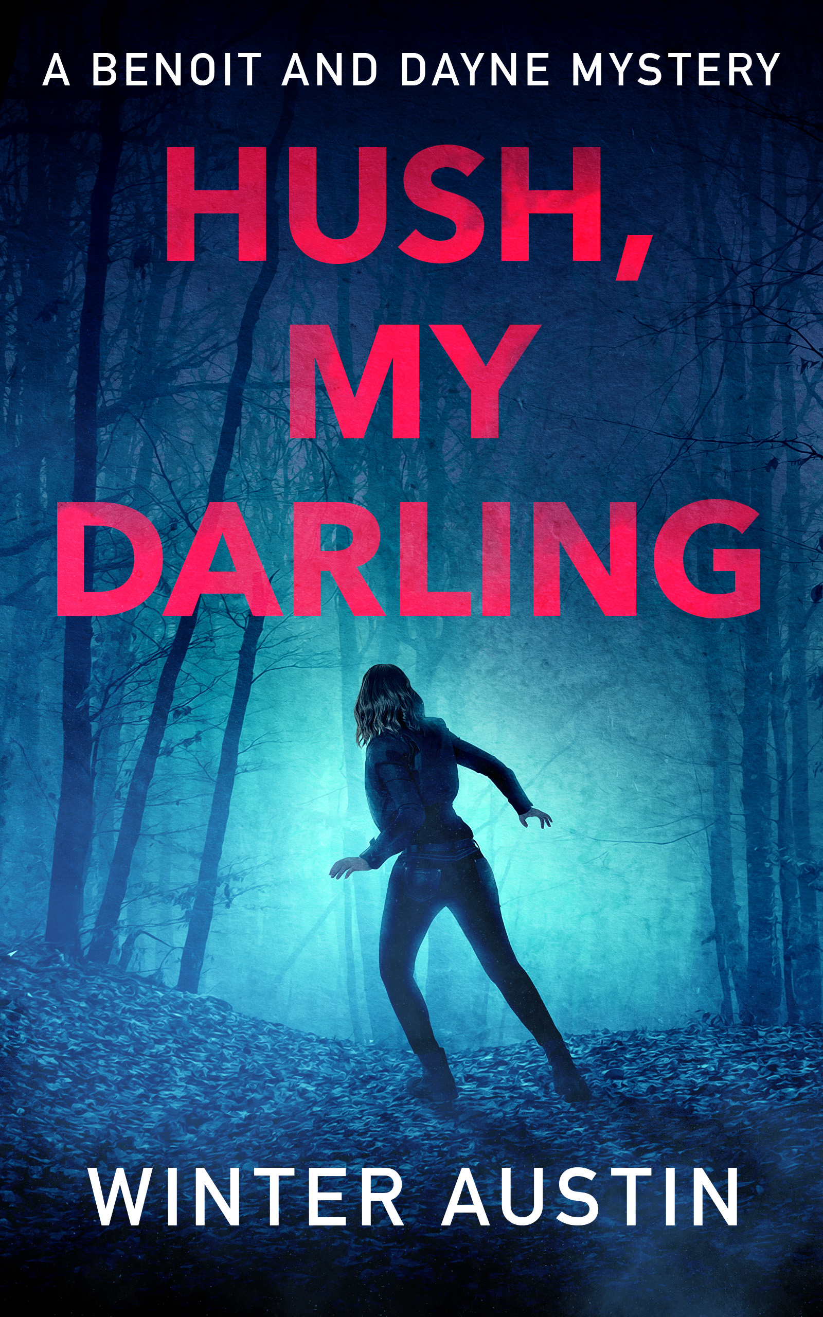 Hush, My Darling (Benoit and Dayne Mystery, #2)