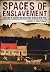 Spaces of Enslavement: A History of Slavery and Resistance in Dutch New York (New Netherland Institute Studies)