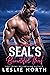 SEAL's Beautiful Thief (Sentinel Security #1)