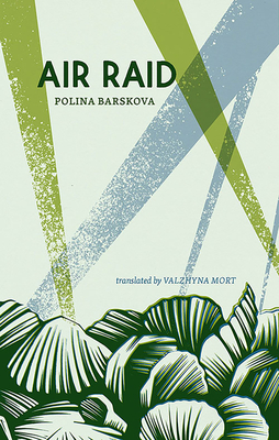 Air Raid (Paperback)