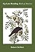 Up Late Reading Birds of Am...