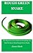 Rough Green Snake: The Beginners Care Guide On Everything You Need To Know About Rough Green Snake.