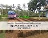 Jual Rumput Lapangan Bola Trenggalek, Tlp. +62 857 3259 0133, ANDIKA GARDEN