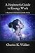 A Beginner's Guide to Energy Work by Chariss K Walker