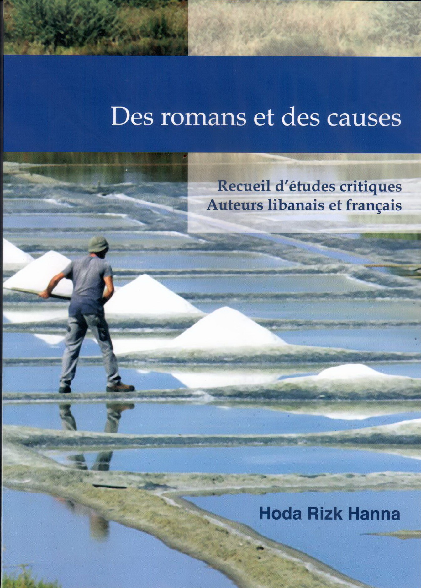 Des romans et des causes: Recueil d'études critiques auteurs libanais et français