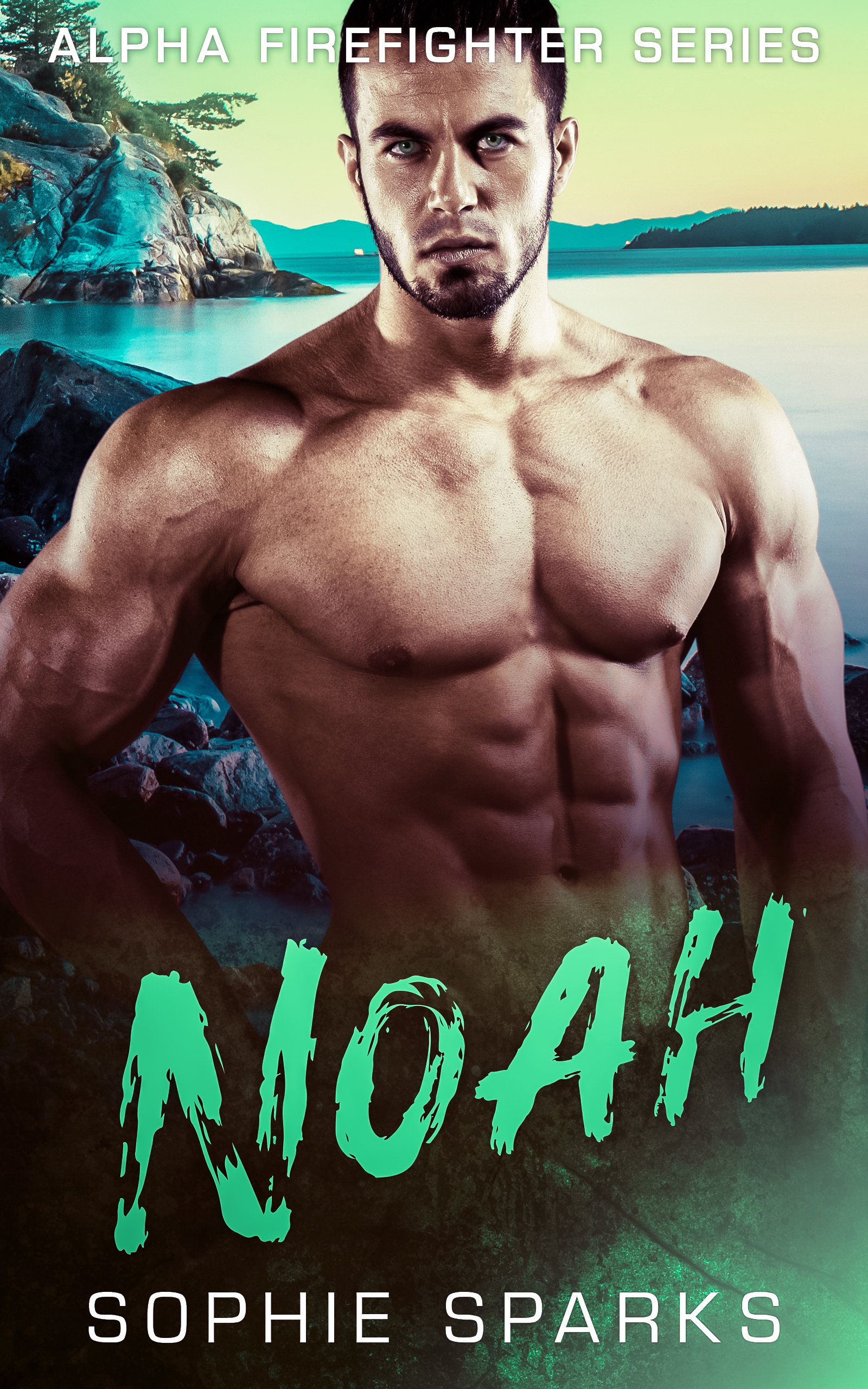 Noah : A Hot BBW Curvy Small Town Romance Novella (Alpha Firefighter Series Book 5)