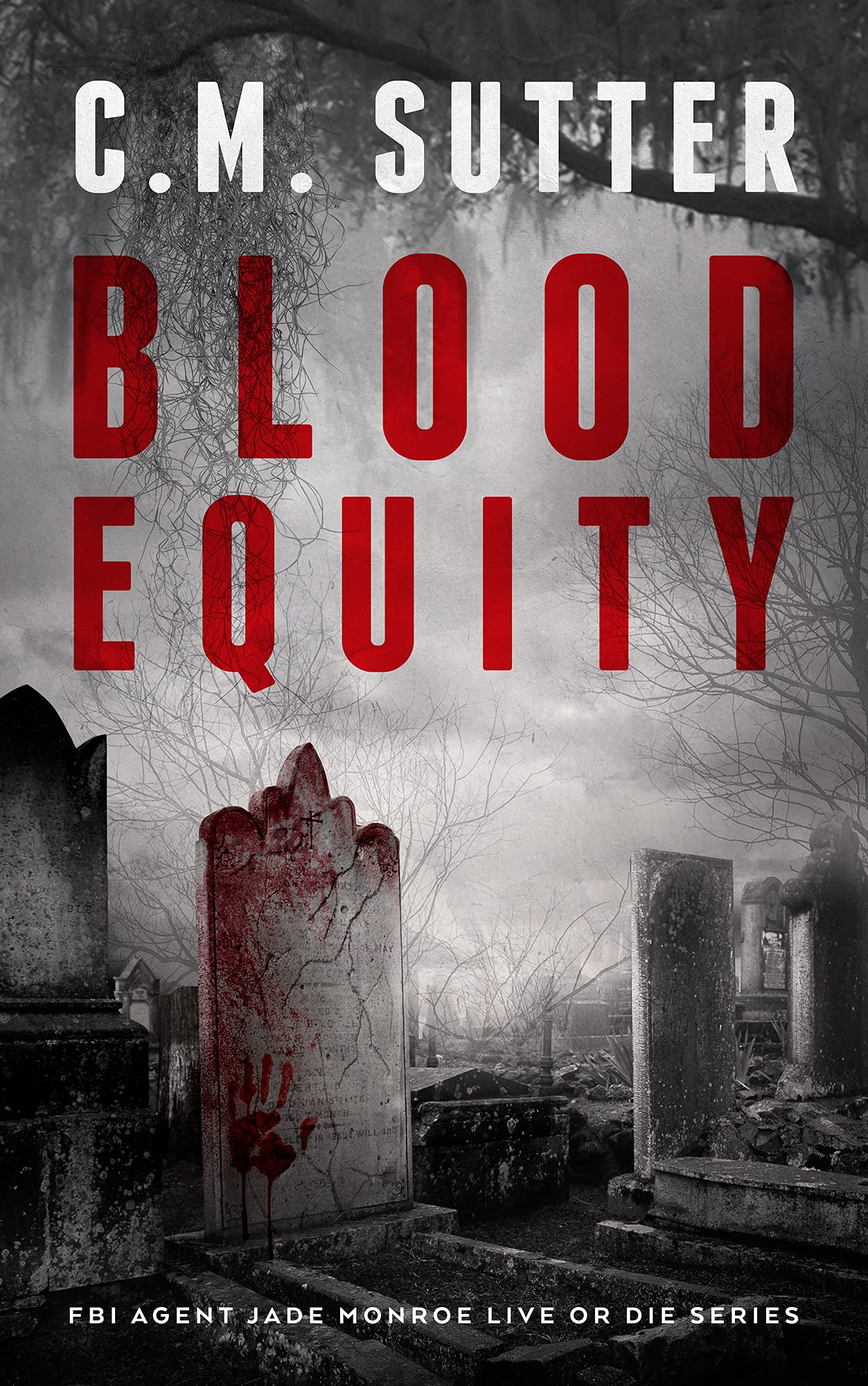 Blood Equity (FBI Agent Jade Monroe: Live or Die #5)