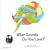 What Sounds Do You Love? by Gülşah Yemen