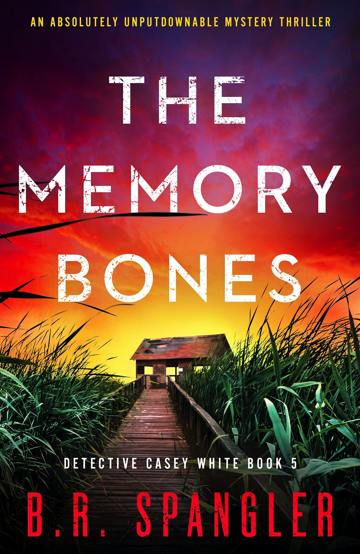 The Memory Bones (Detective Casey White #5)