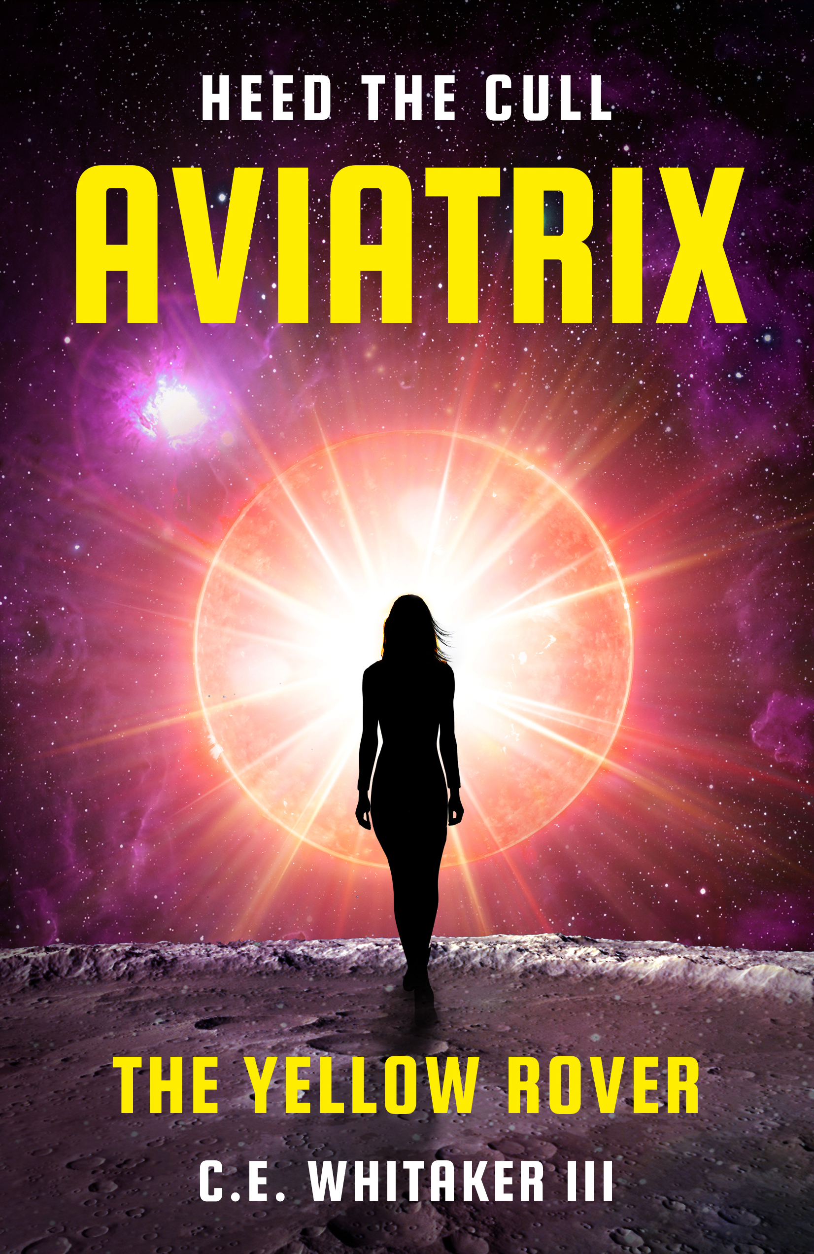 Aviatrix (The Rover Series Universe, #4)