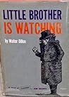 Little Brother is Watching by Walter Dillon