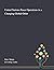 United Nations Peace Operations in a Changing Global Order by Mateja Peter