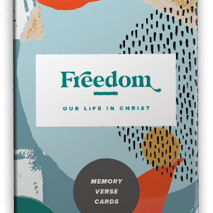 Freedom Q4 Guidebook (Mass Market Paperback)