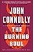 The Burning Soul (Charlie Parker, #10)