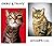 Orby & Triny: Do Life