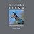 Fernando's Birds: Photograp...