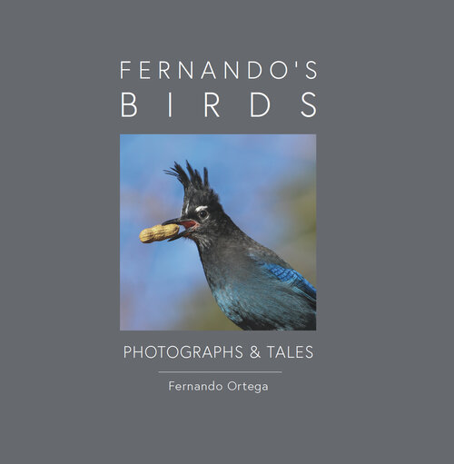 Fernando's Birds: Photographs & Tales