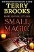 Small Magic by Terry Brooks
