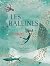 Les baleines et nous by India Desjardins