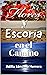 Flores y Escoria en el Camino (Spanish Edition)
