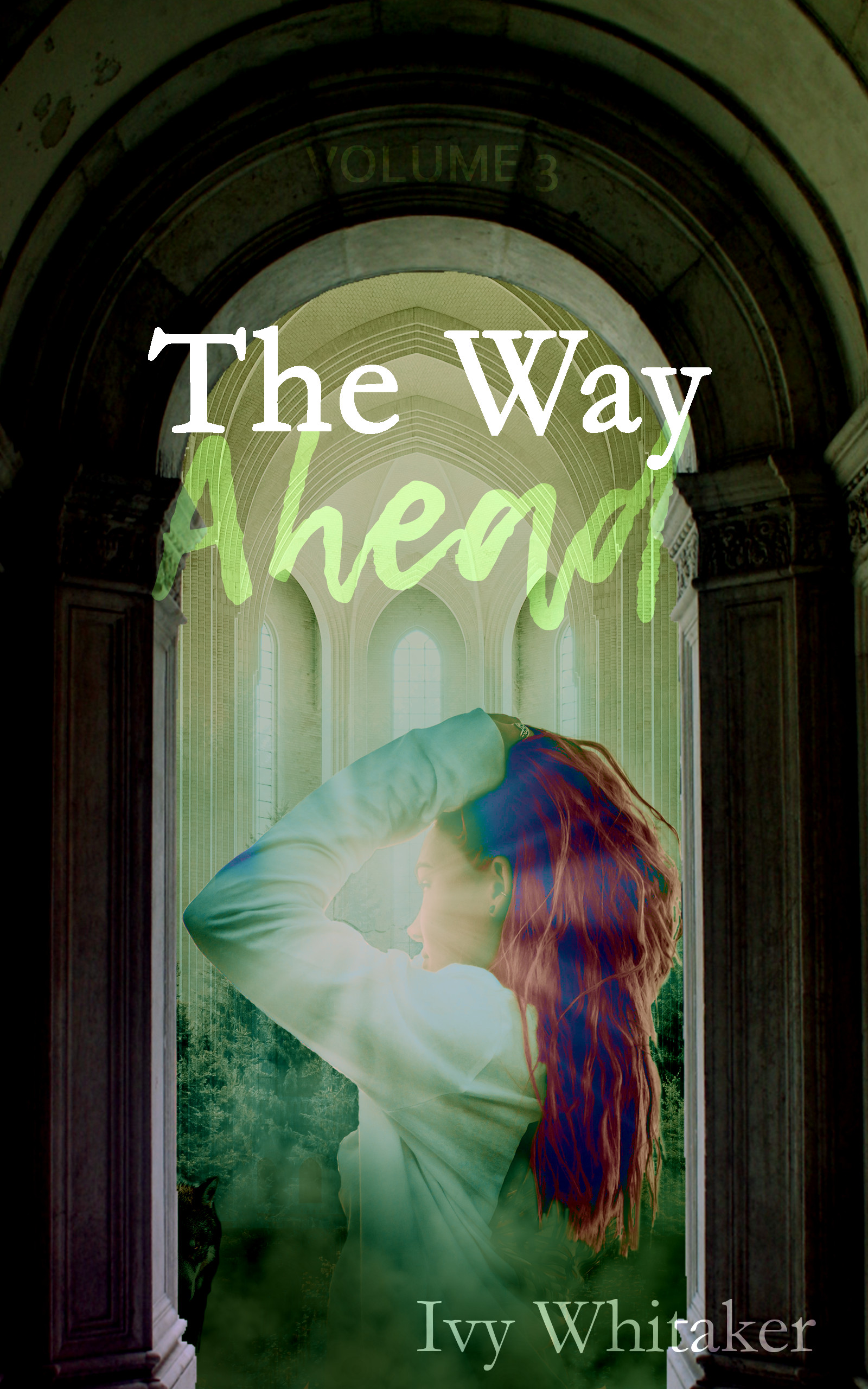 The Way Ahead (Dark Paths, #3)