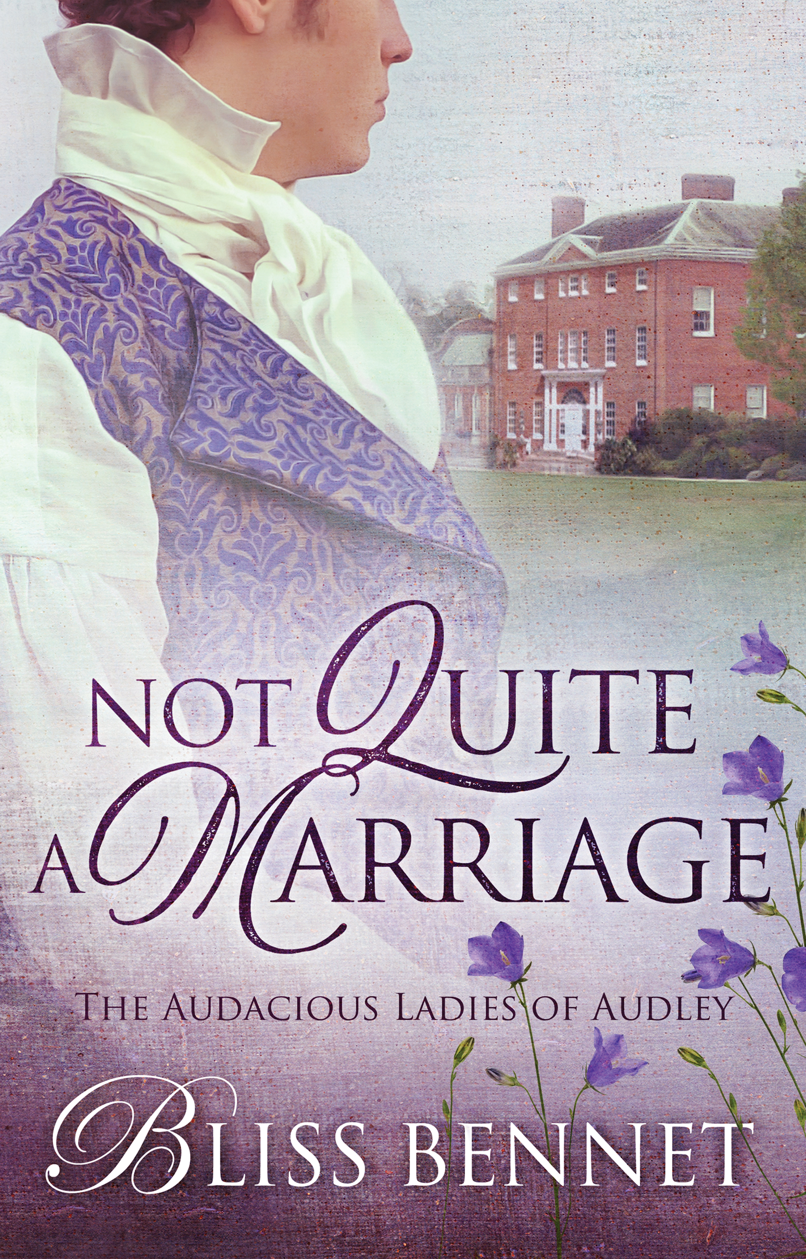 Not Quite a Marriage (The Audacious Ladies of Audley, #1)