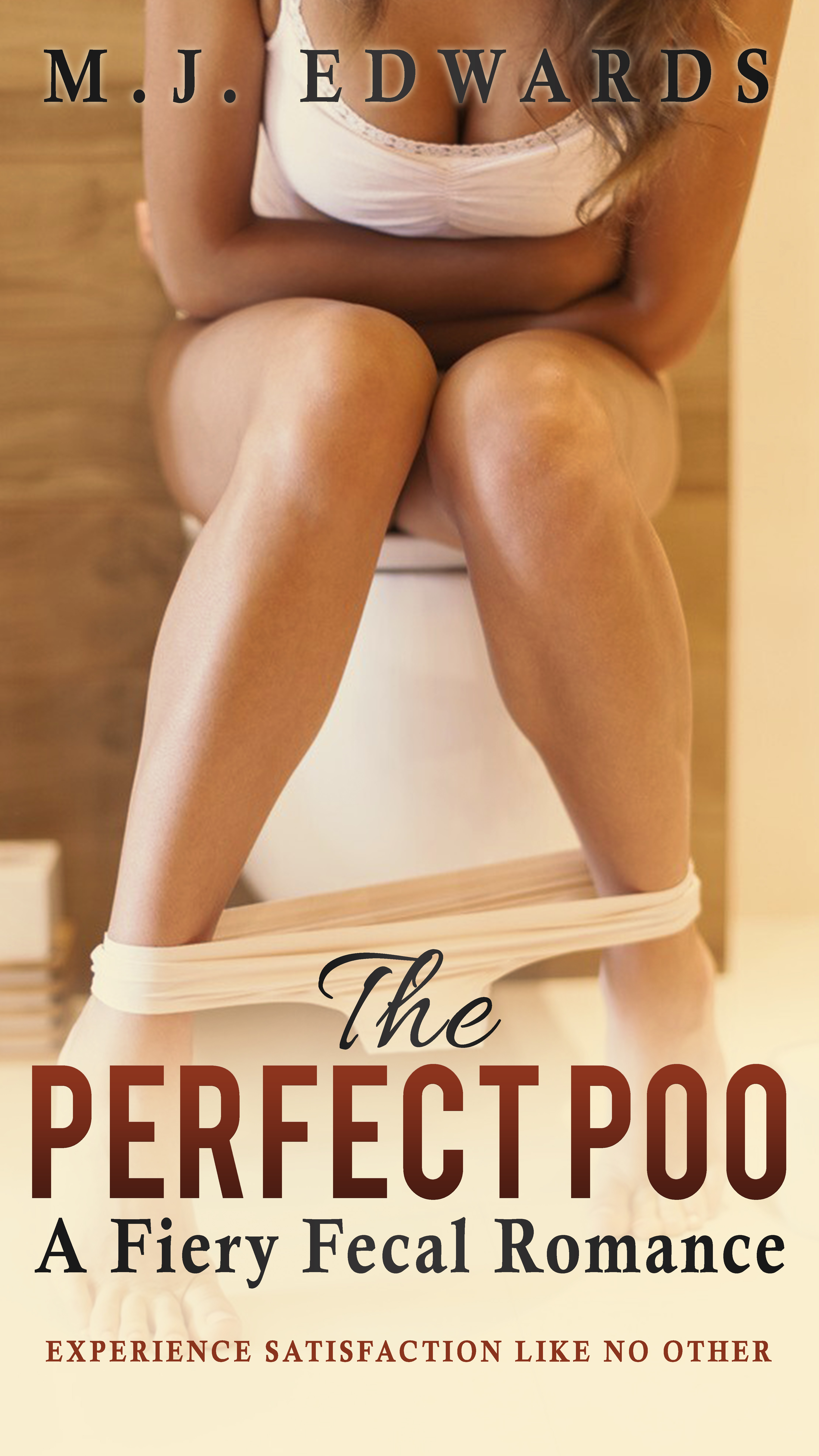 The Perfect Poo: A Fiery Fecal Romance (Paperback)