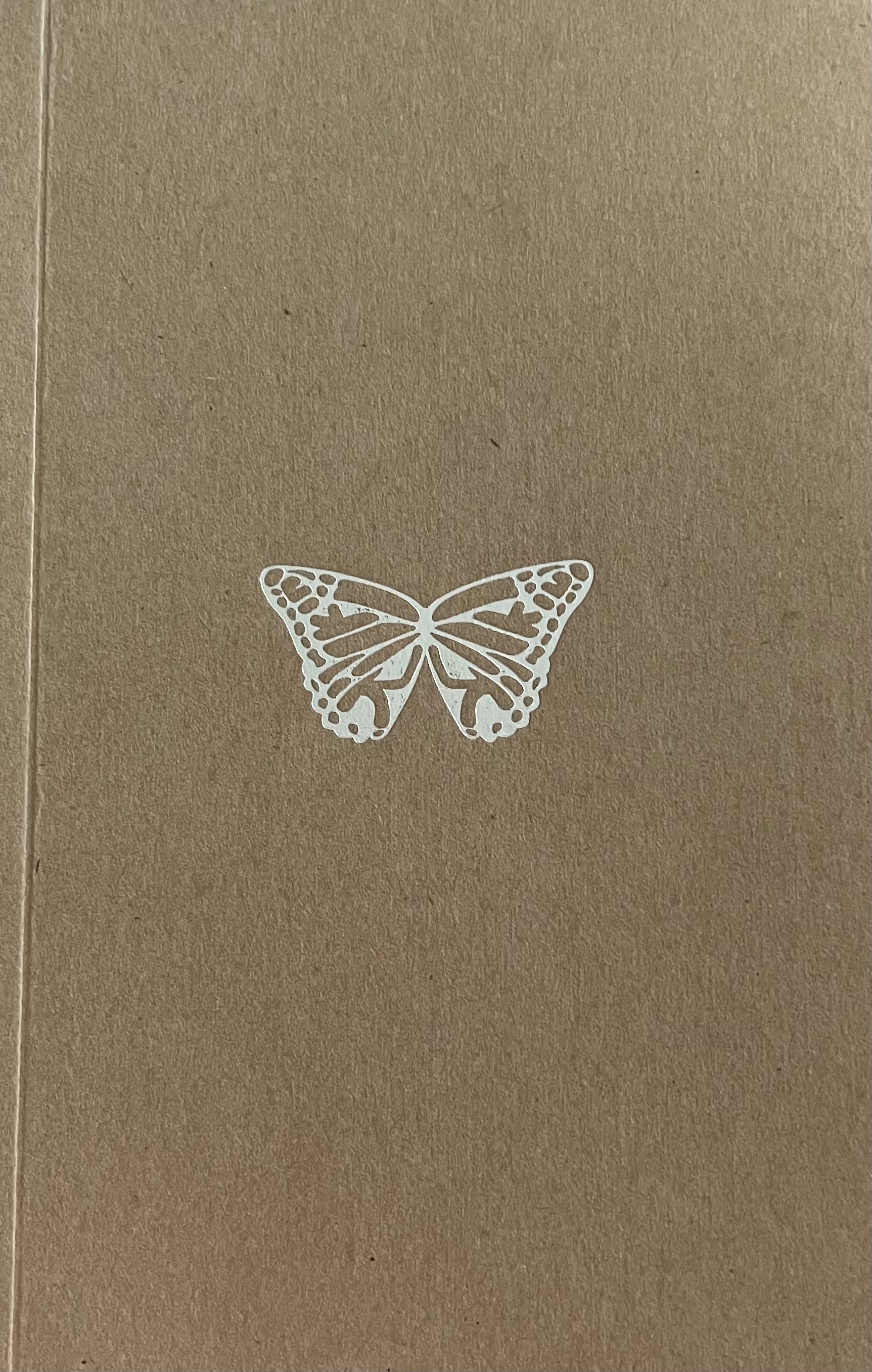 A bebábozódás után