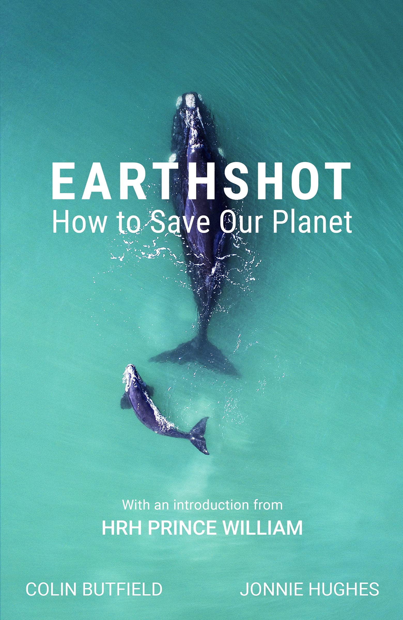 Earthshot: How to Save Our Planet (Kindle Edition)