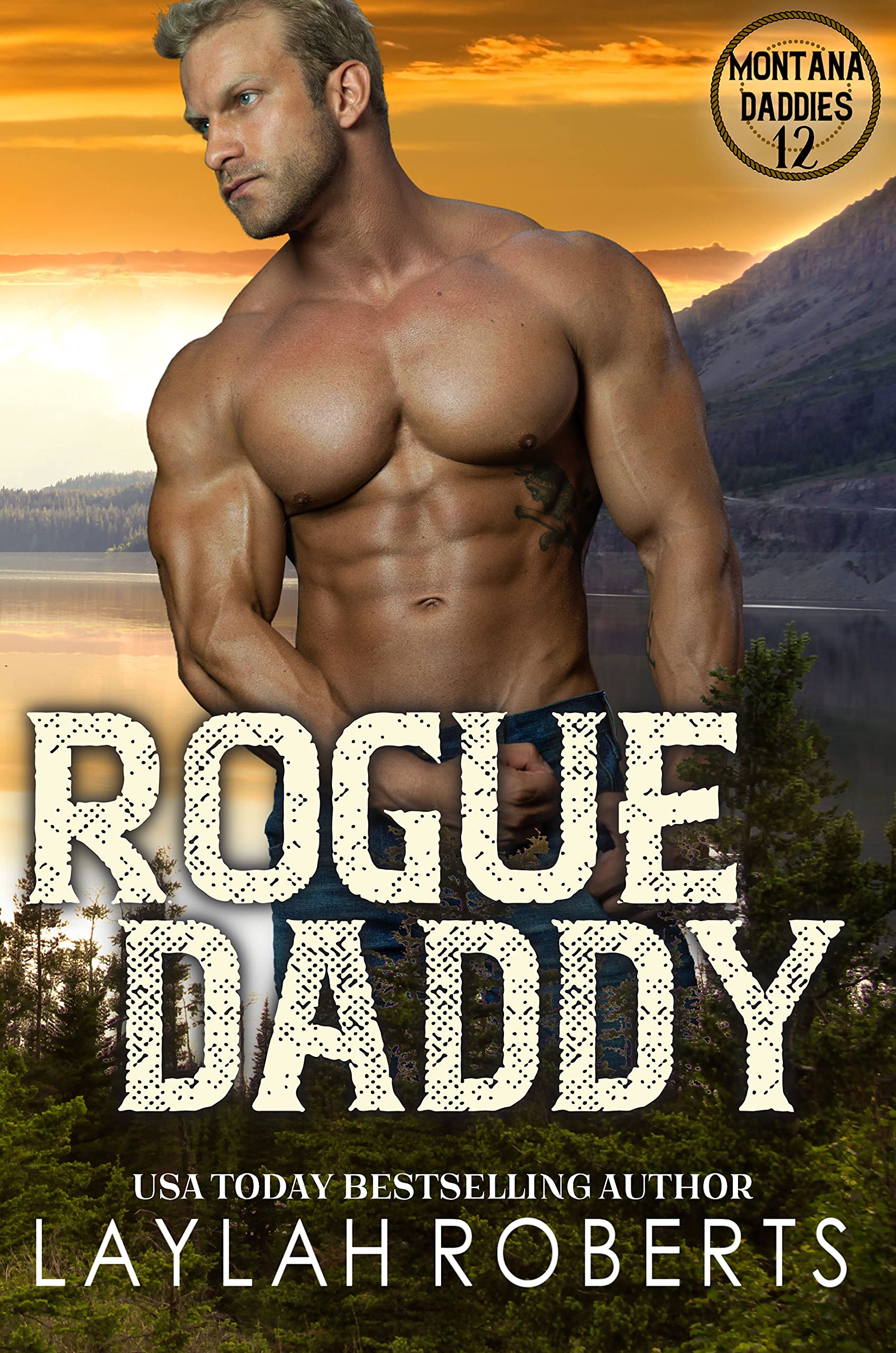 Rogue Daddy (Montana Daddies, #12)
