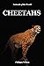 Cheetahs by Philippa Wilson