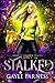 Stalked (Rogues Shifter #2)