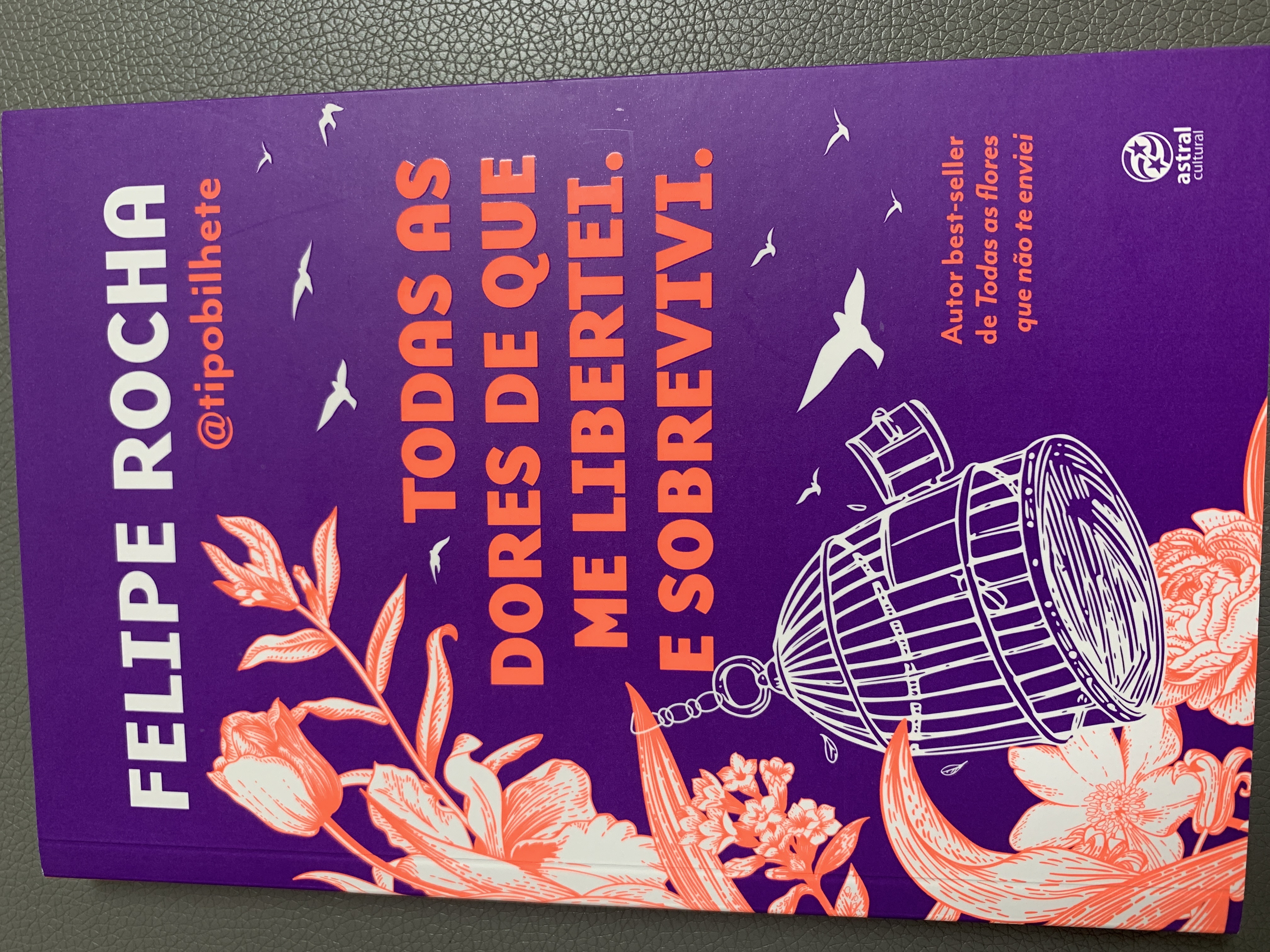 Todas as dores de que me libertei. E sobrevivi. (Paperback)