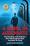 A Rebel in Auschw...
