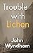 Trouble with Lichen