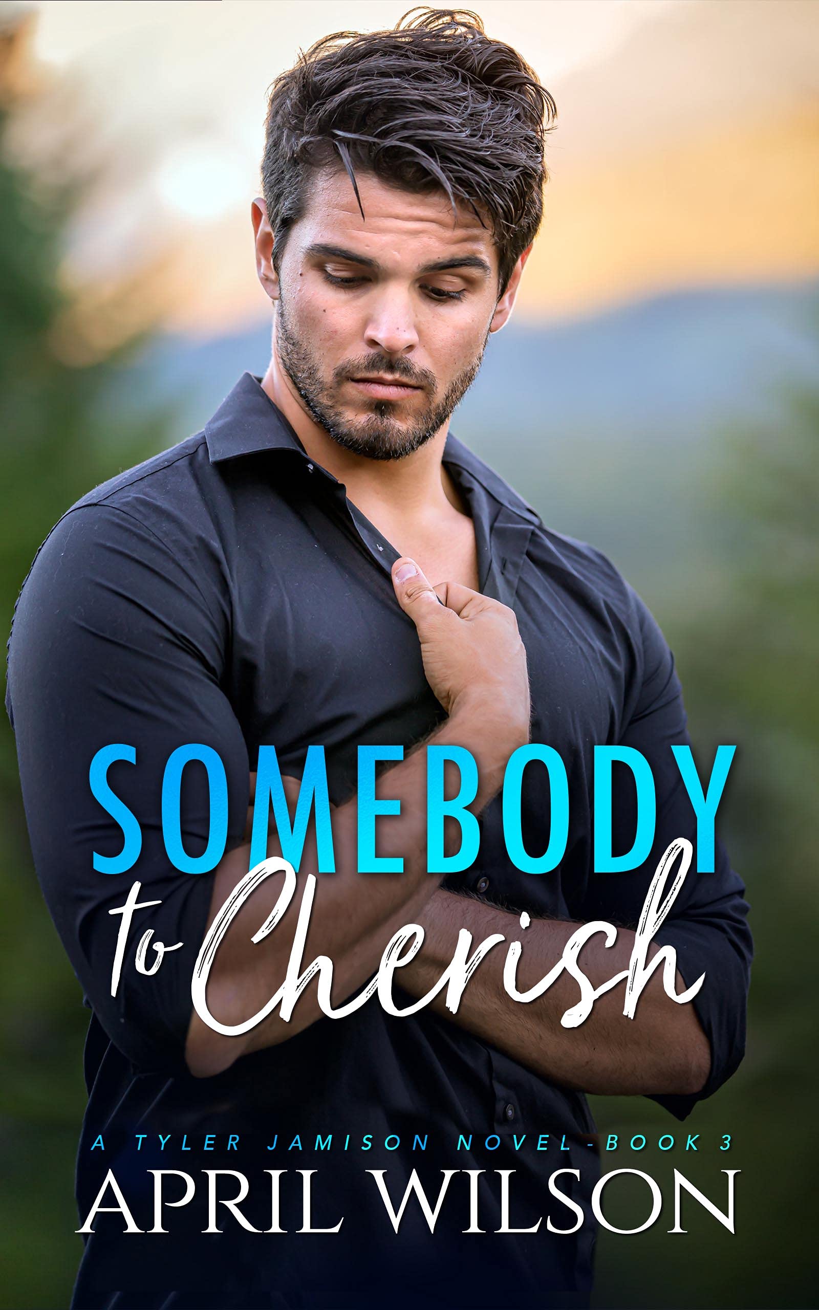Somebody to Cherish (Tyler Jamison, #3)