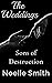Sons of Destruction: The We...