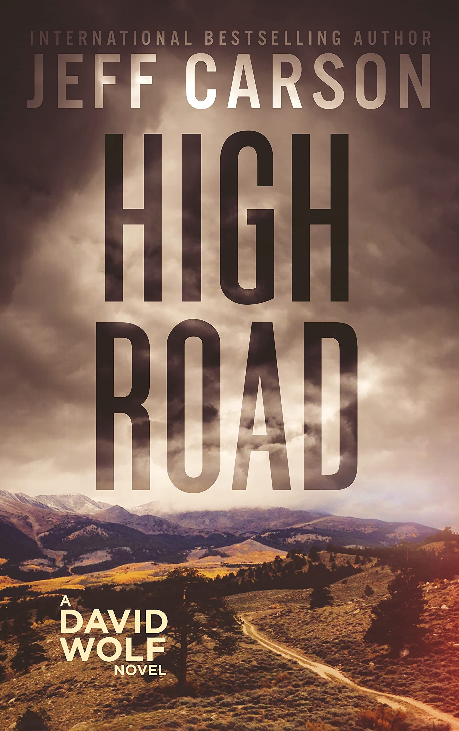 High Road (David Wolf, #15)