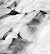 Peter Mathis Schnee: Grandiose Aufnahmen der Berge im Winter