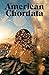 American Chordata Issue 11 by Yvonne Cha