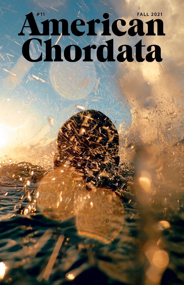 American Chordata Issue 11