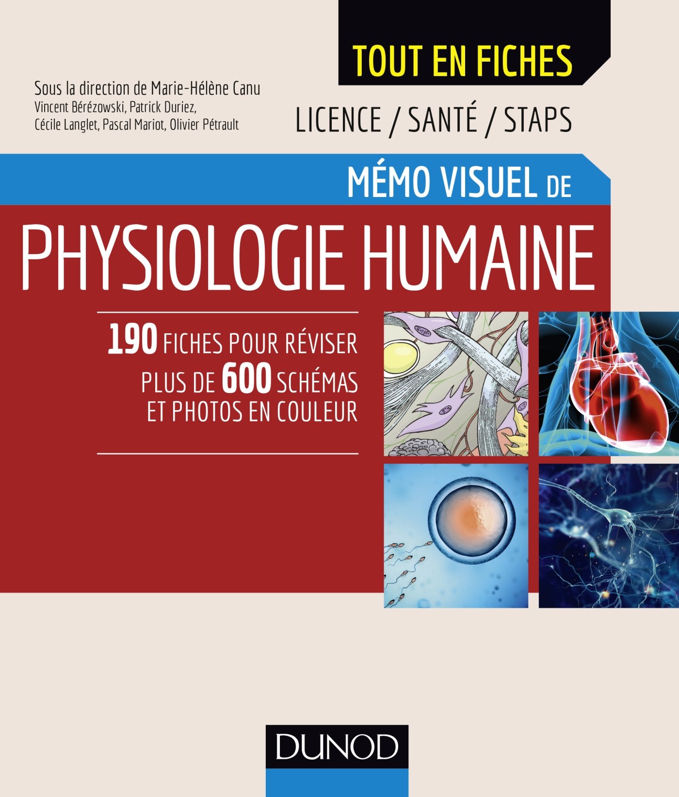 Mémo visuel de physiologie humaine (Paperback)