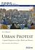 Urban Protest: A Spatial Pe...