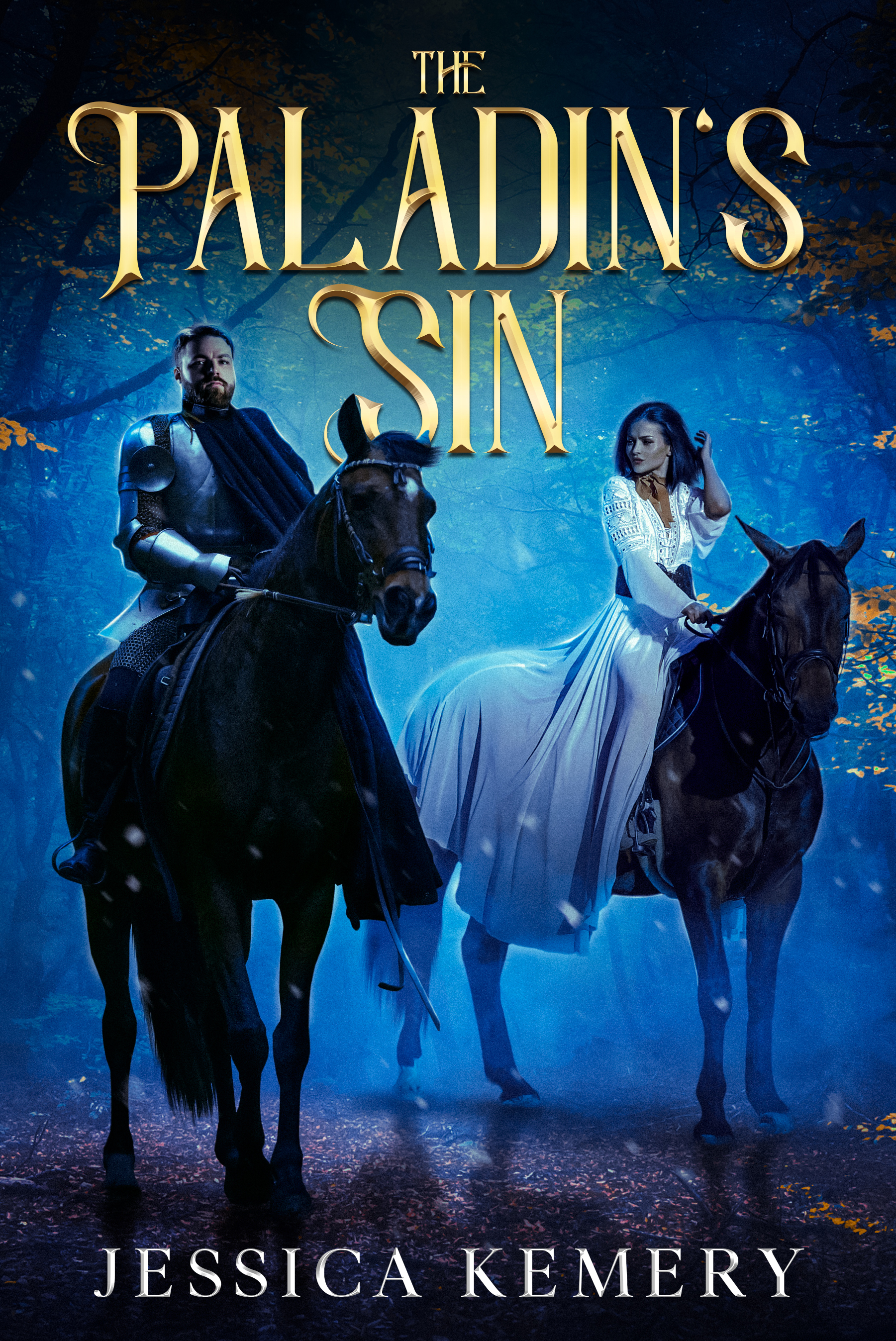 The Paladin's Sin (The Paladin Series, Book 1)
