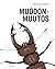 Muodonmuutos
