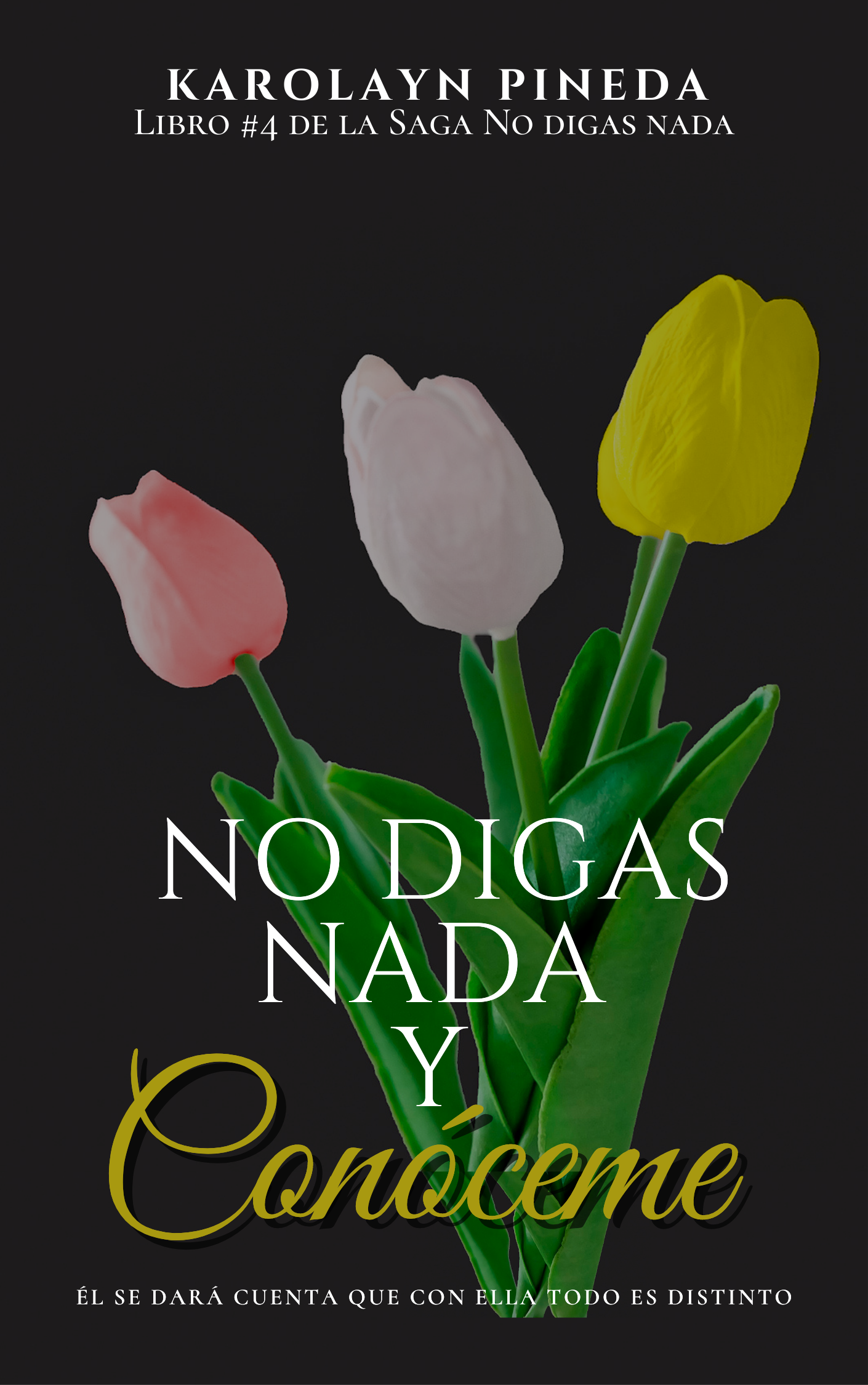 No digas nada y conóceme (No digas nada #4)