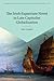 The Irish Expatriate Novel in Late Capitalist Globalization by Joe Cleary